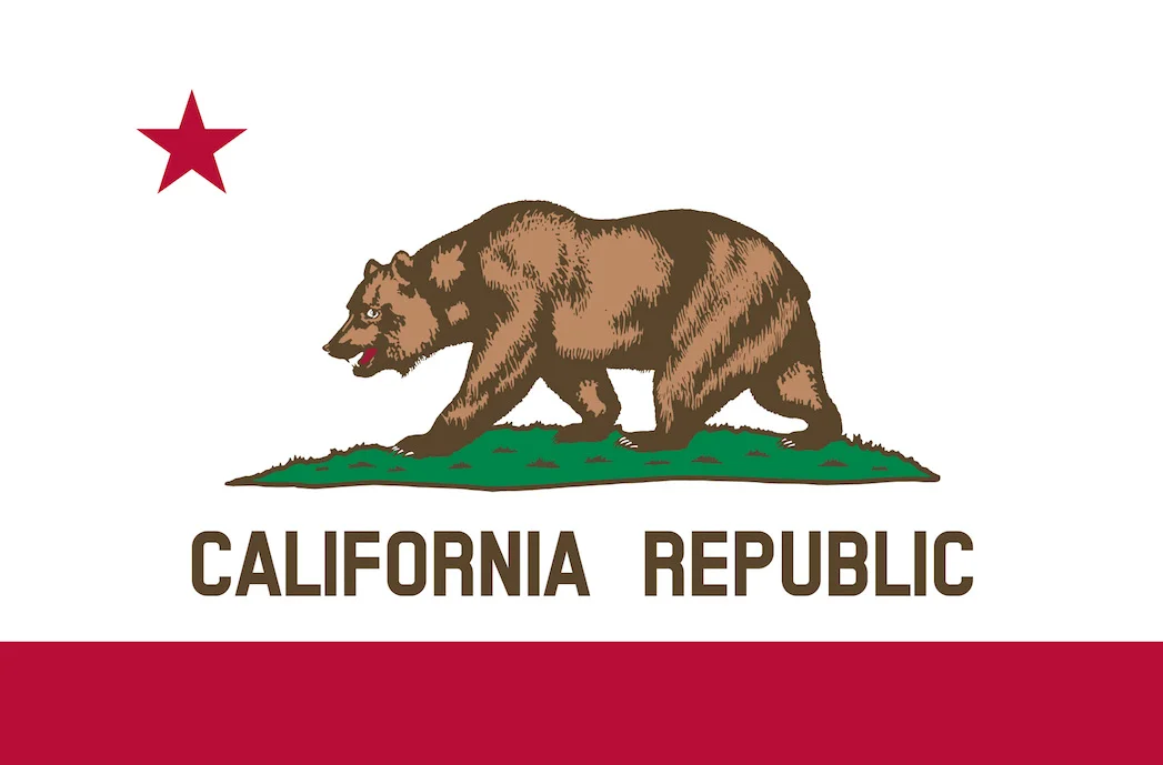 CLEAN+CA+Flag.jpg