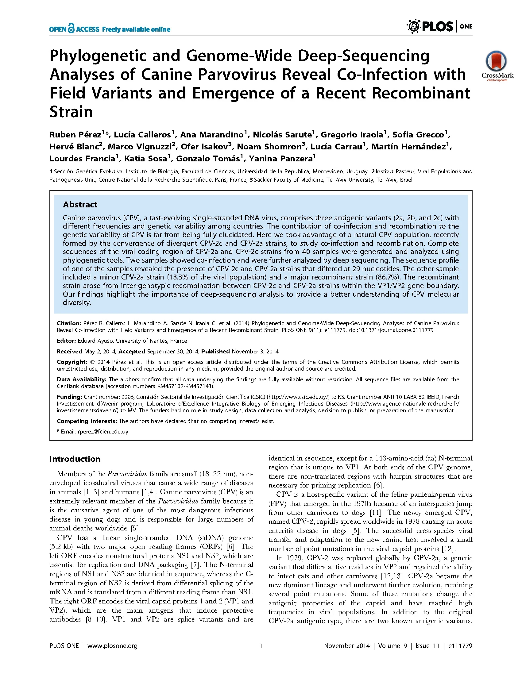 PLoS One 2015, Perez et al: collaboration with Perez/Panzera in Uruguay, Co-Infection and Recombination in Canine Parvovirus