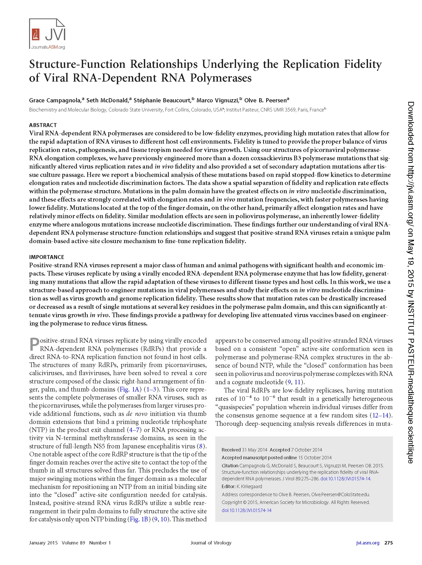Journal of Virology 2015: Campagnola et al, Tuning RdRp fidelity