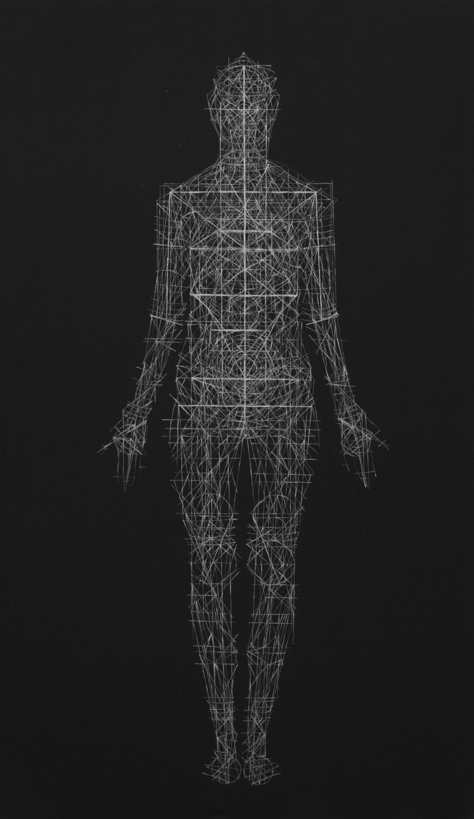 Rachel Garrard, White Shadow , 2014, Silverpoint, Shellac and Black Gesso on Linen, 44 x 78 in