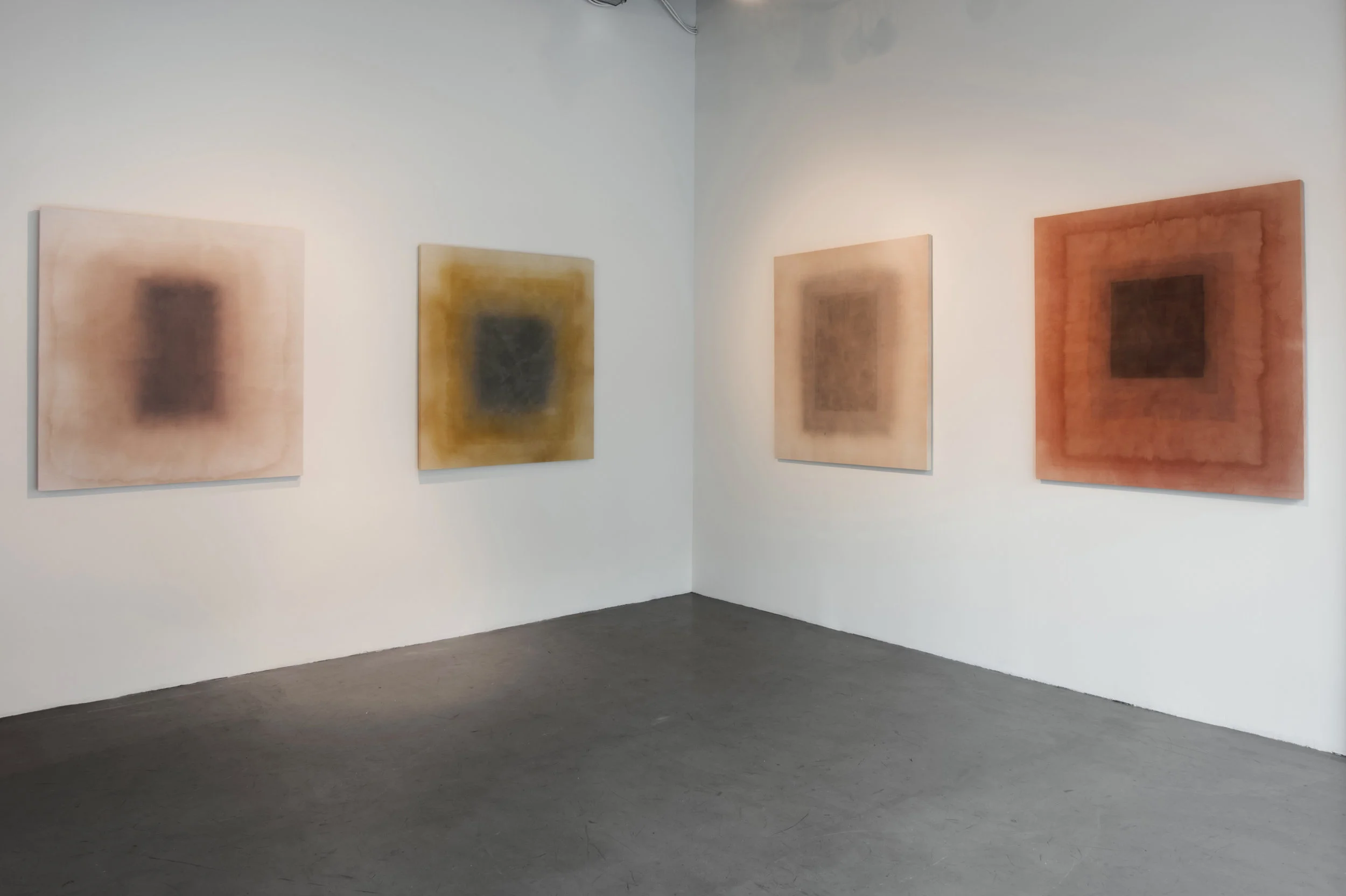 Installation View,  Borderline , 2017