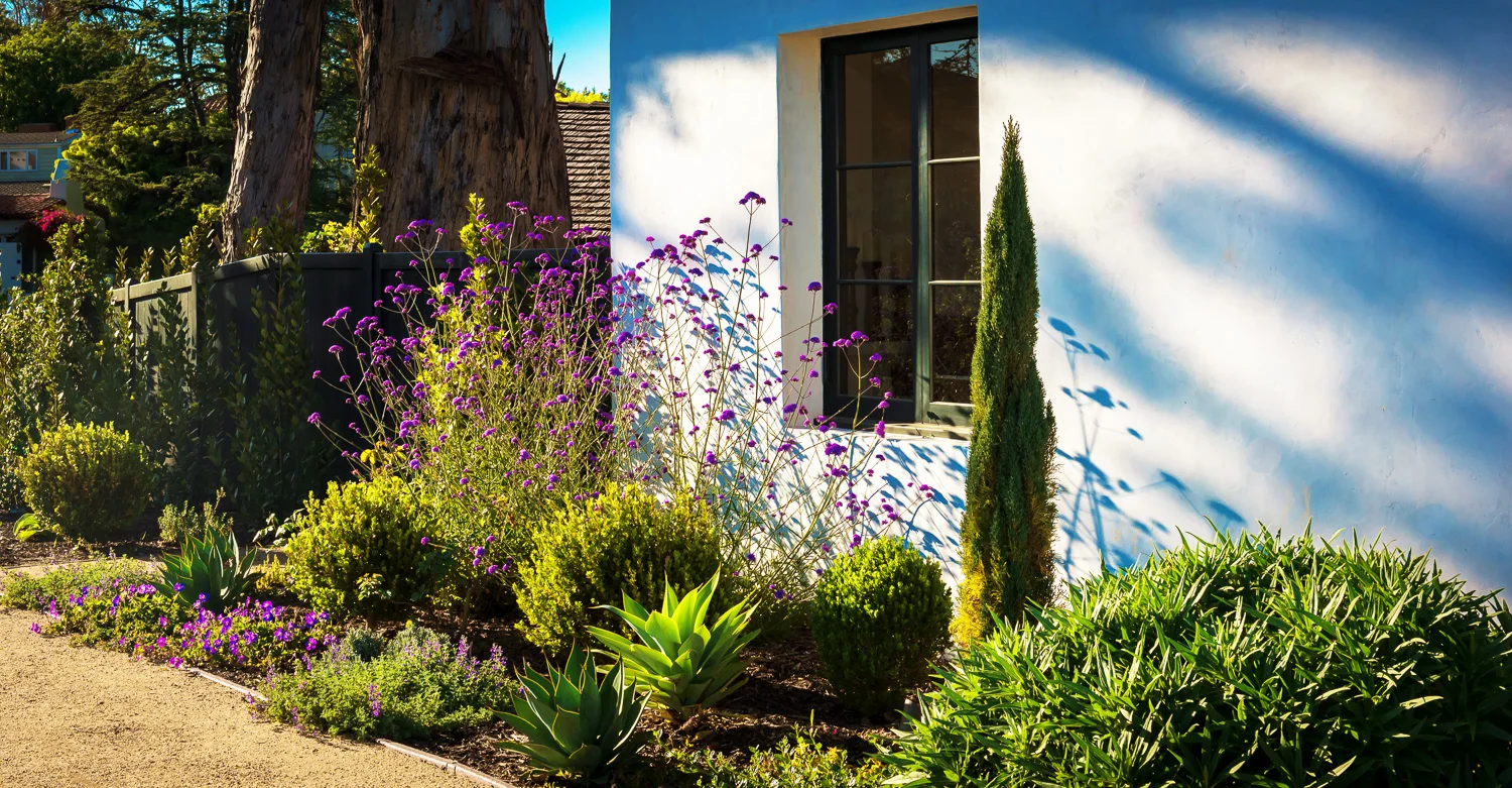 Helena - front of house landscaping.