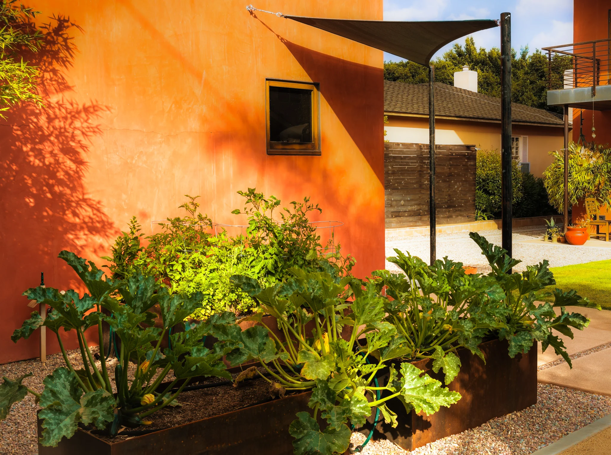 Grant Street Landscape Design