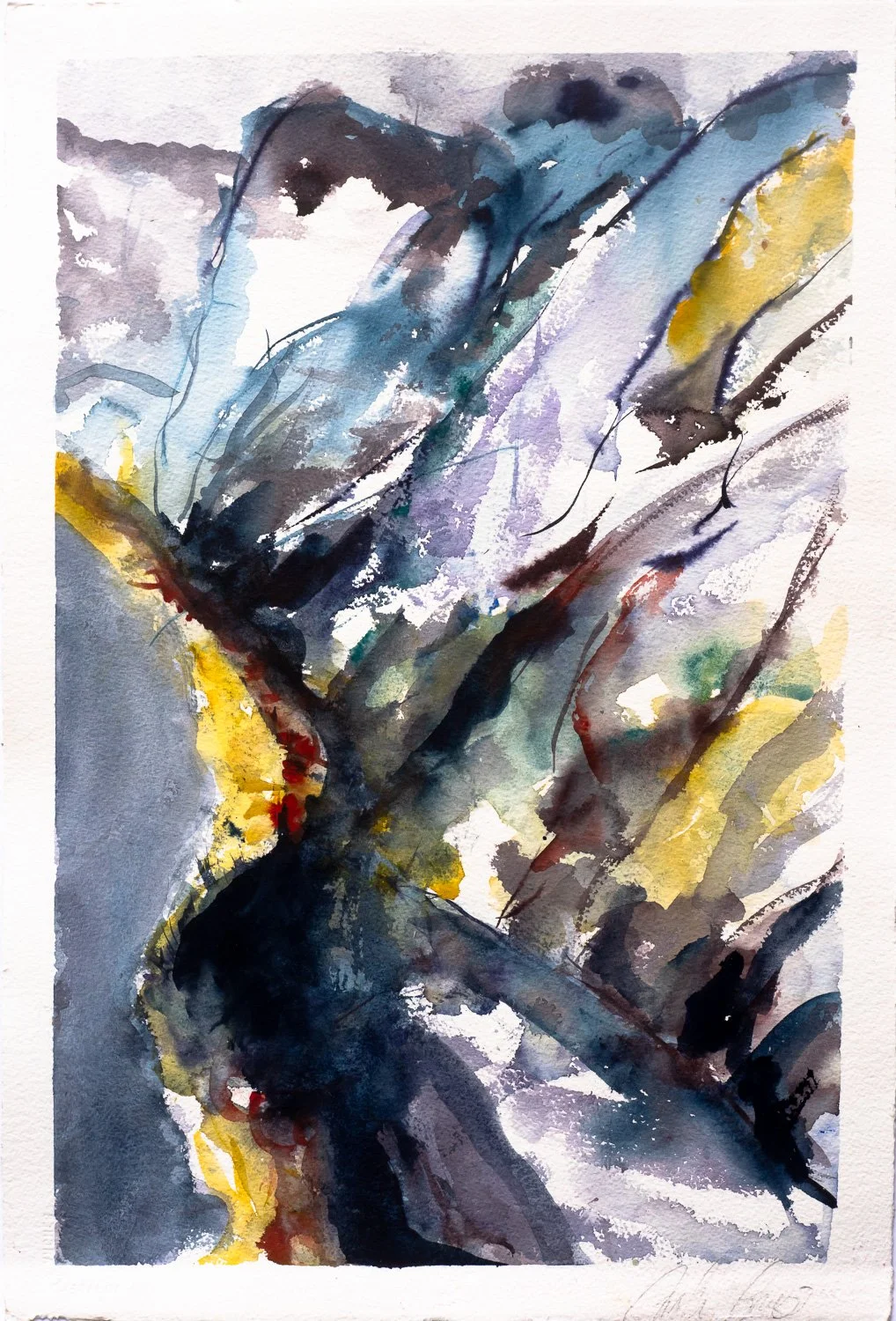 How the Cliffs fell into the sea