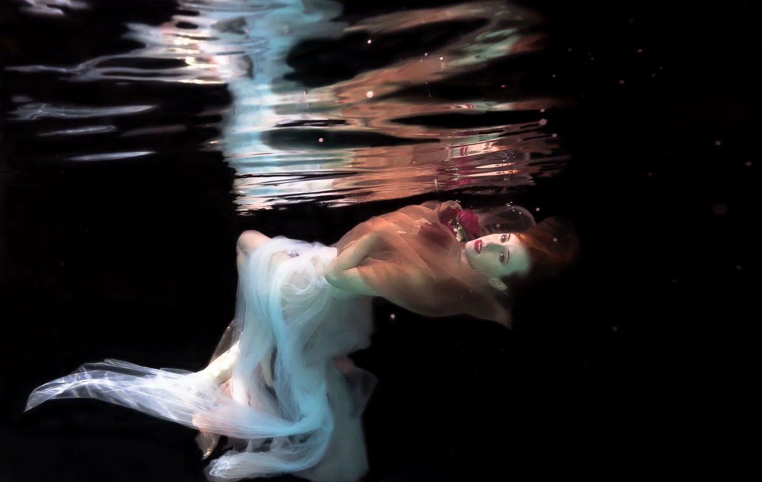 Reflections and Beauty 