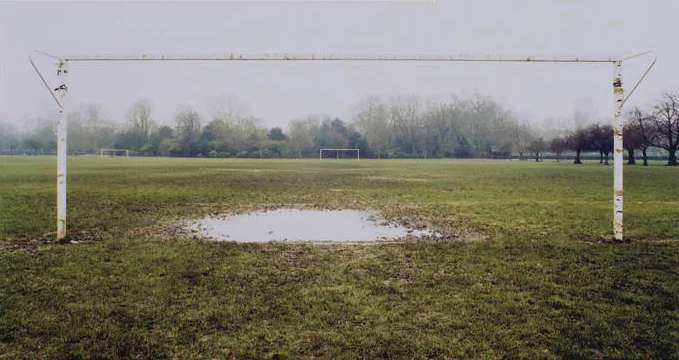 grass1.jpg