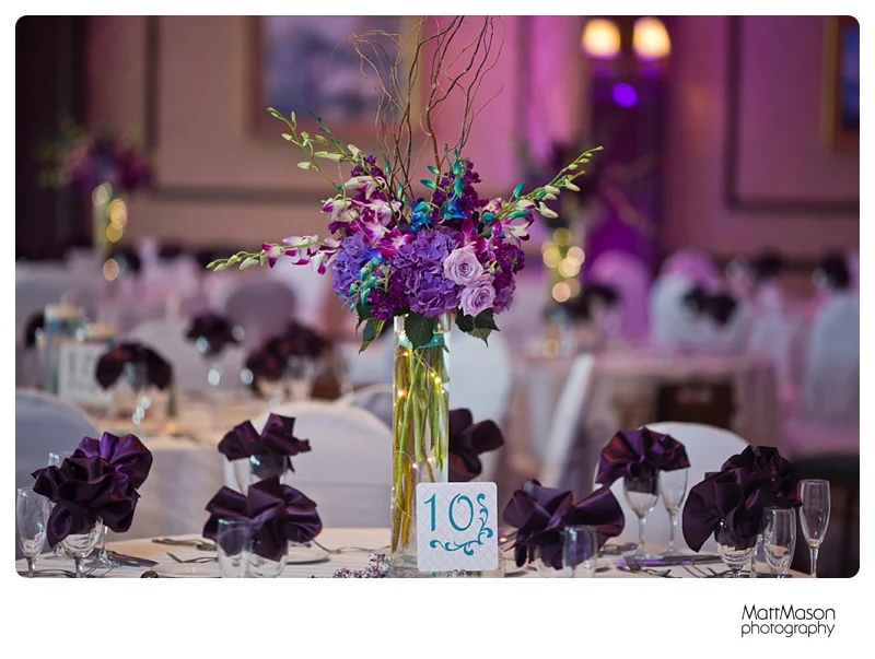 Matt Mason Photography Lake Geneva Wedding Bride Groom Reception6