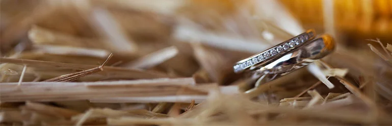 Best of 2011 - The Rings