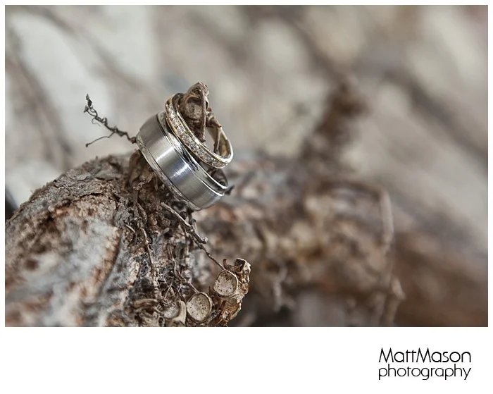 Angie & Jeremy's Wedding