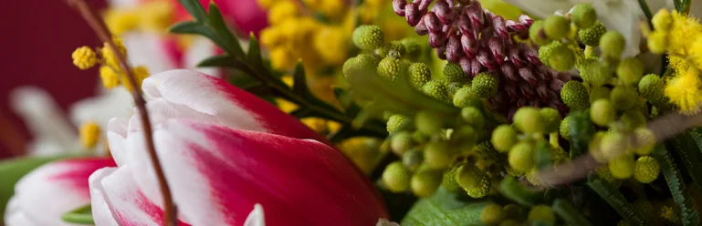 Frontier Flowers of Fontana