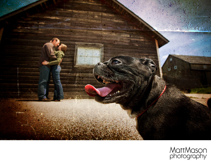 Engagement session with Boston Terrier