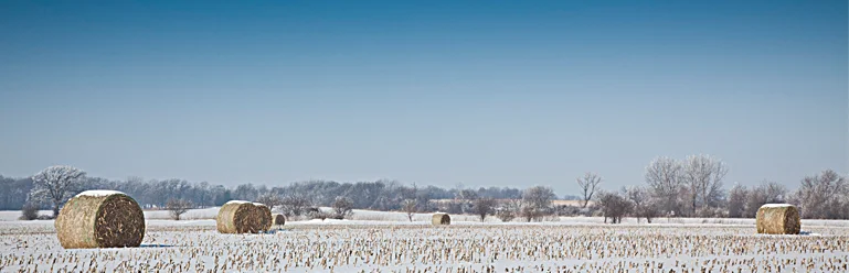 Hoars Frost in Lake Geneva