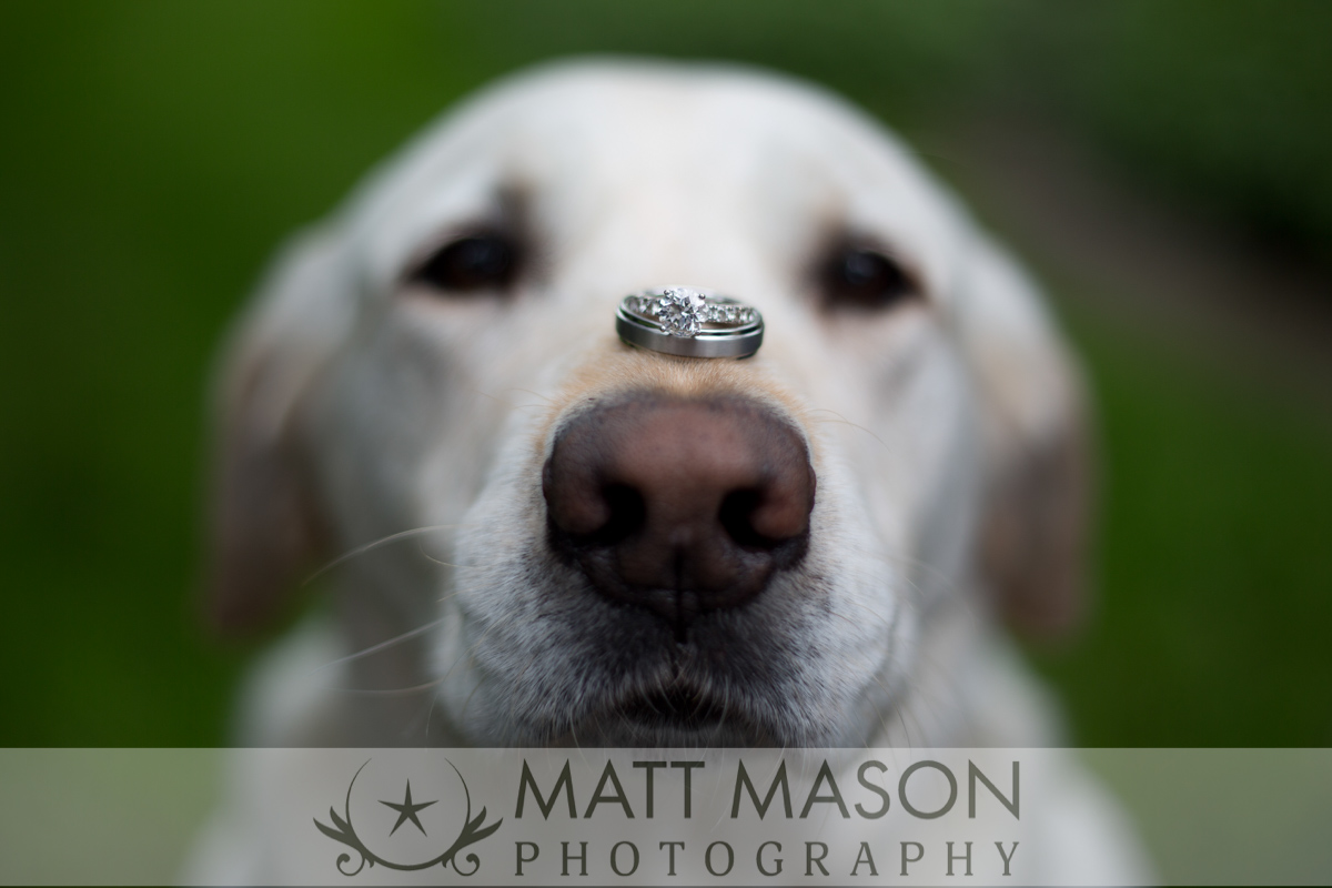 Matt Mason Photography- Lake Geneva Wedding-1.jpg