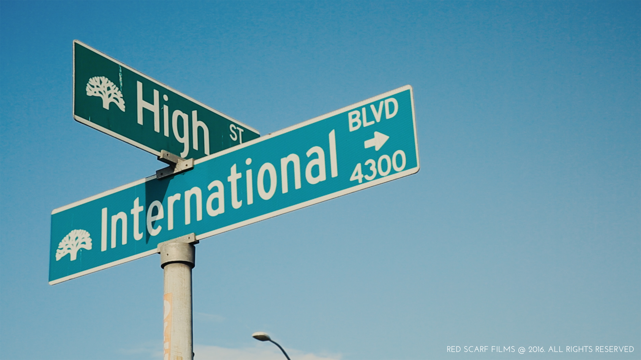 SIB-GALLERY-INTLBLVDSIGN.png