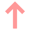 noun_406921_ff9999.png