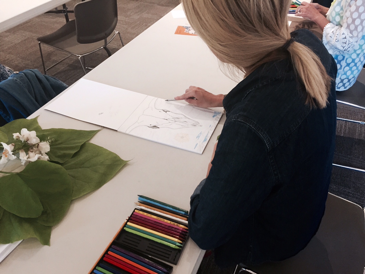 Skulls & Flowers - The O'Keeffe Way