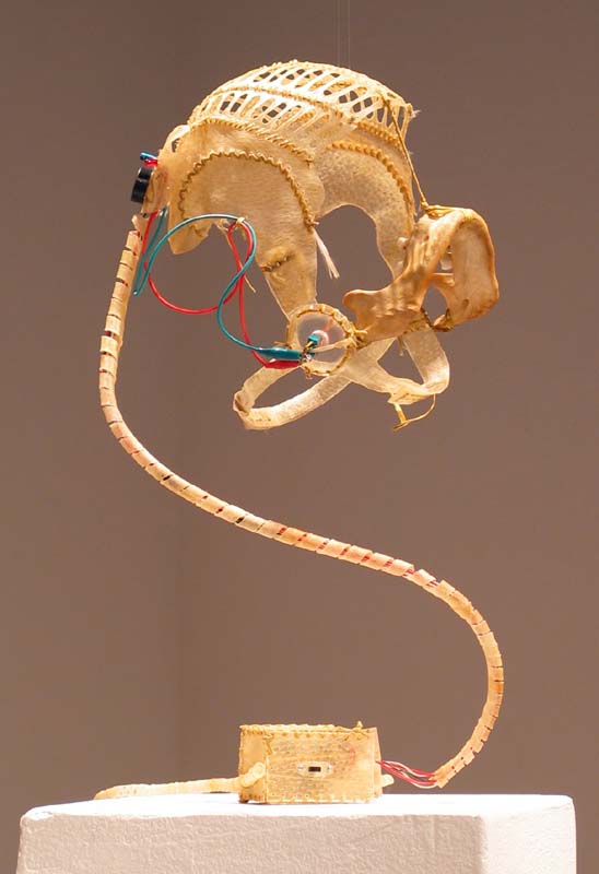 Masticator (2005) : pig rawhide, human mandible bone, electronics