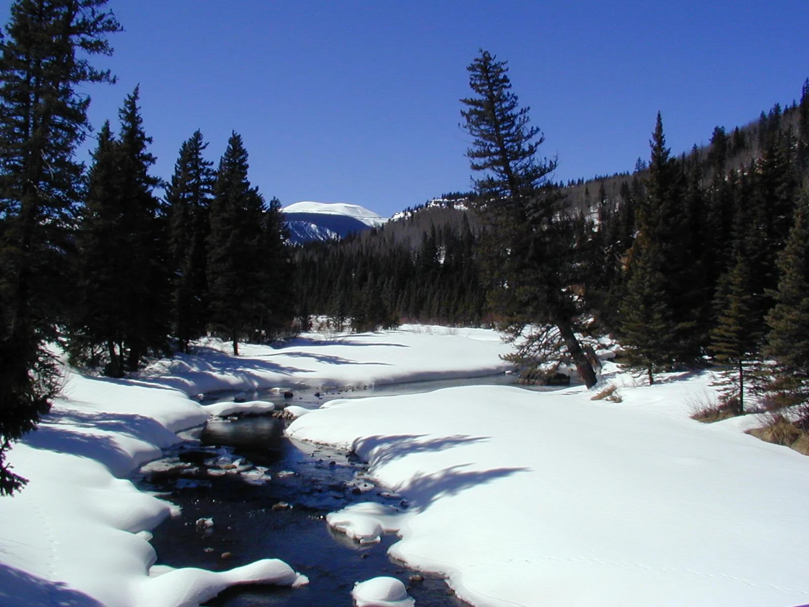 What's Happening to Colorado's Snowpack?