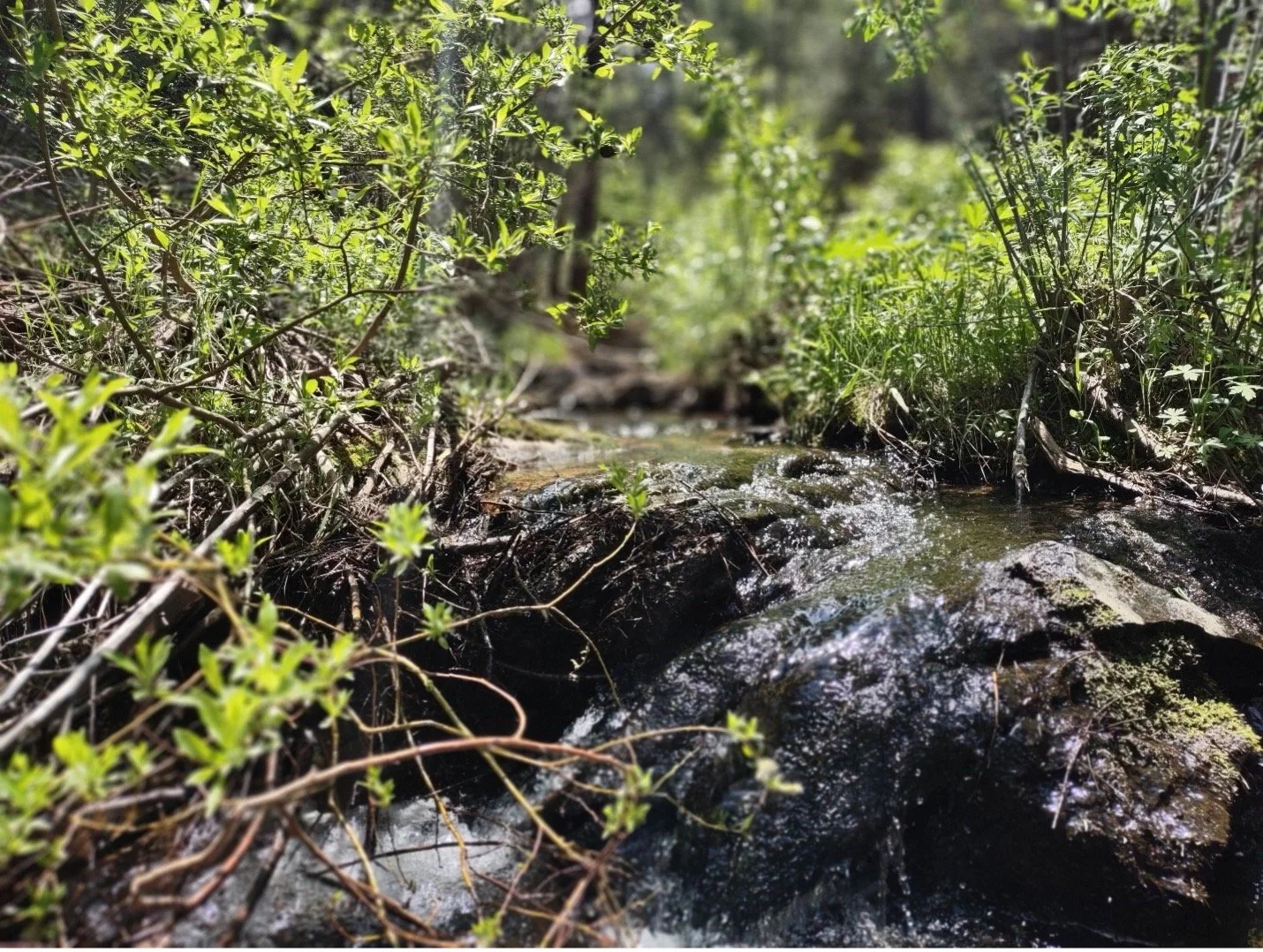 Keeping Water in Rivers and Streams