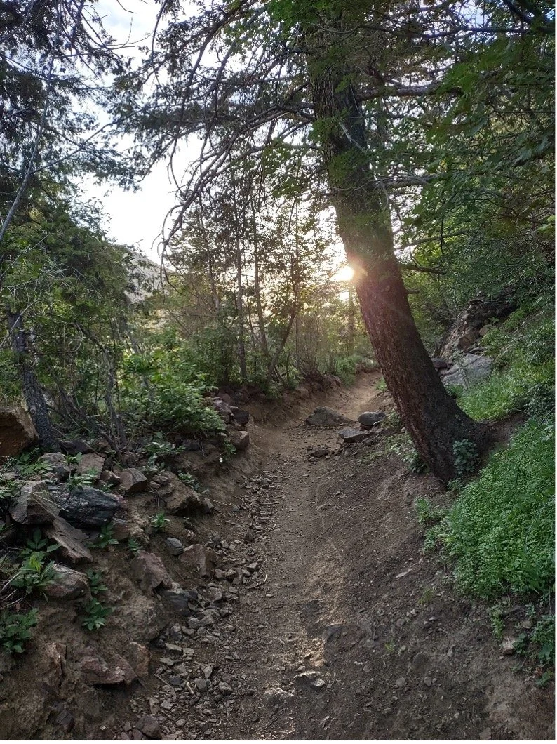 The Welch Ditch and the Gateway Segment of the Peaks to Plains Trail