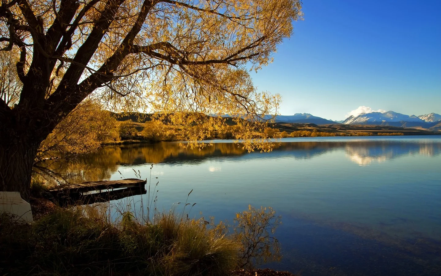 Lake%20Alexandrina,%20New%20Zealand.jpg