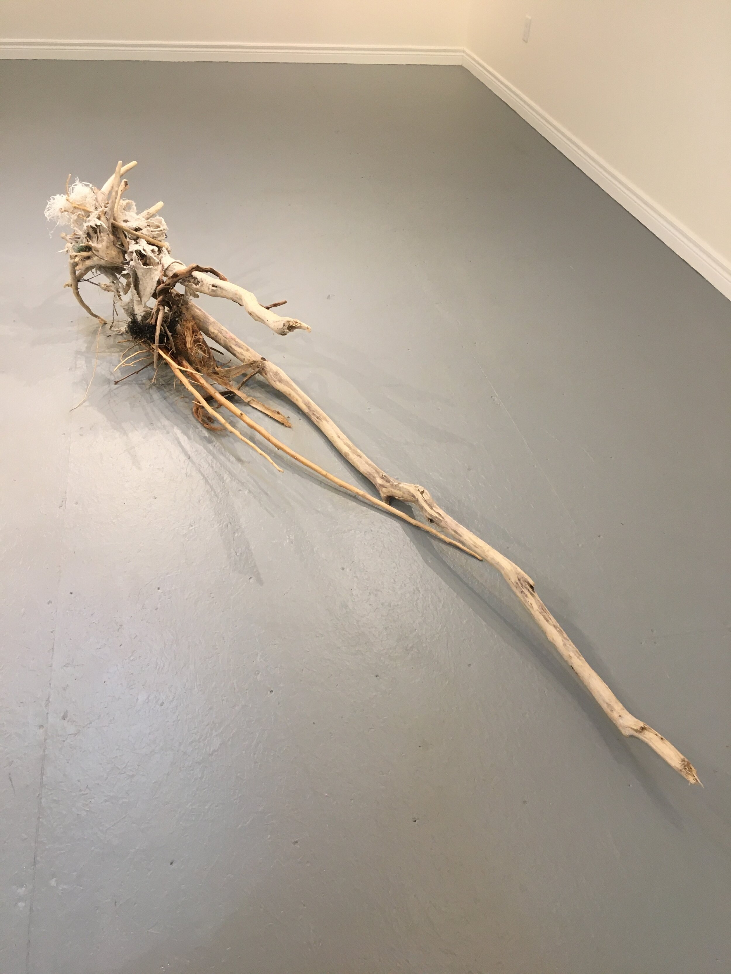 Installation of Drift Wood with Various Detritus Textiles Attached