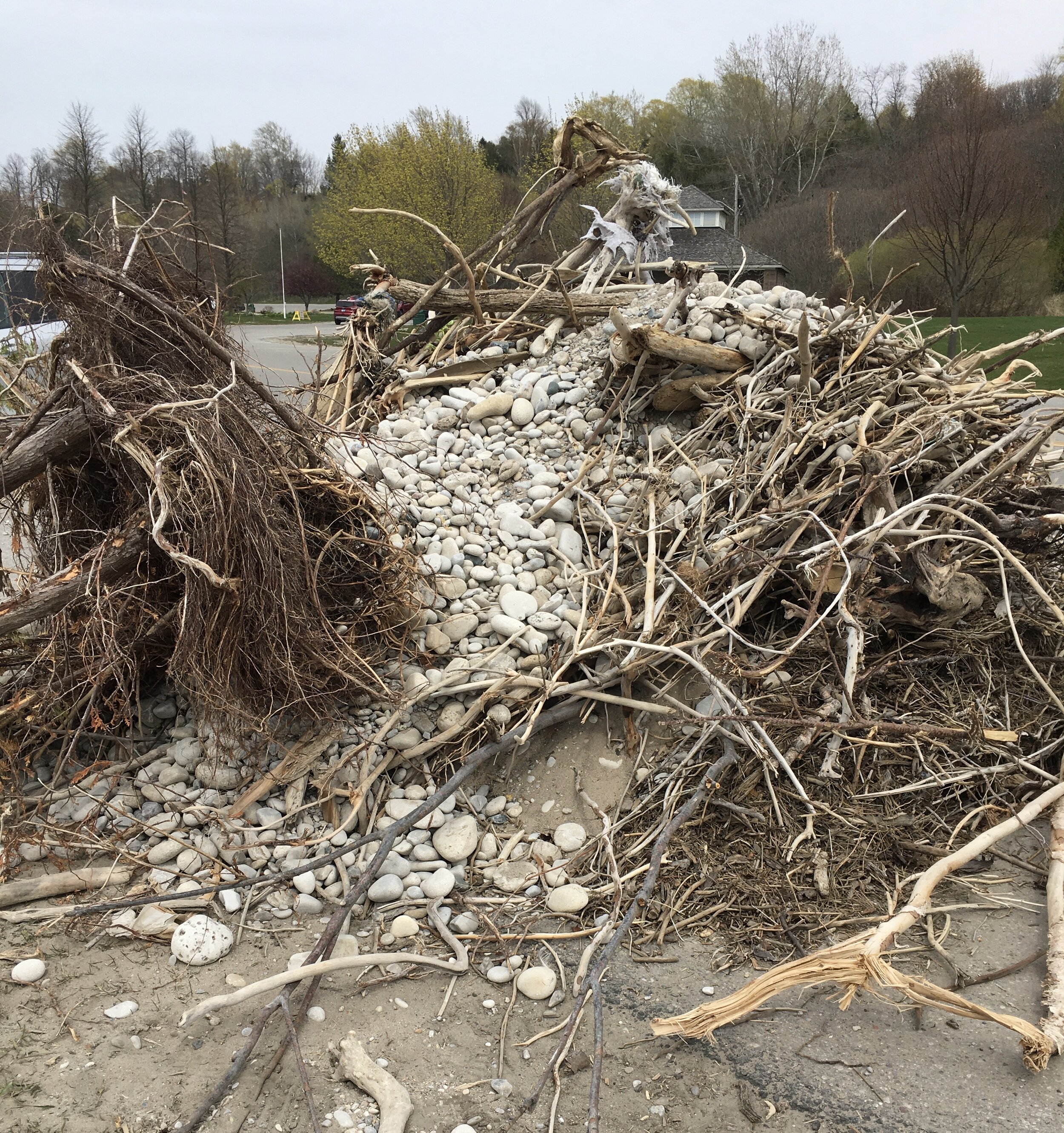 The drift wood I chose can be seen at the top of the debris.