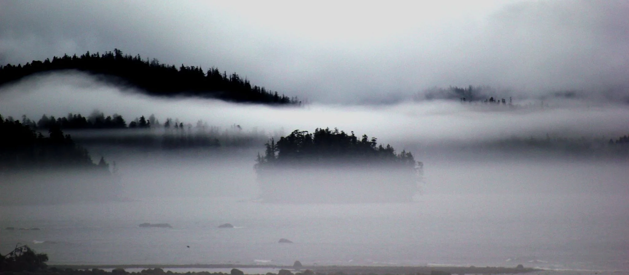 fog.jpg