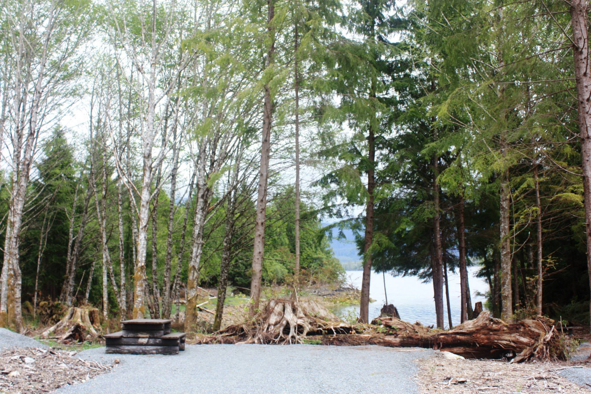 campground3.jpg