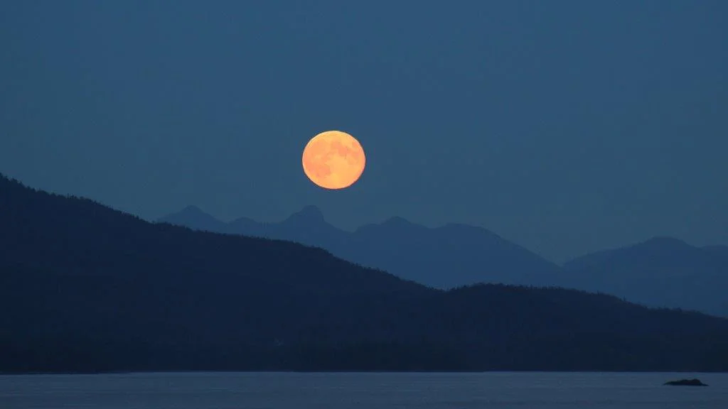 blu moon.jpg