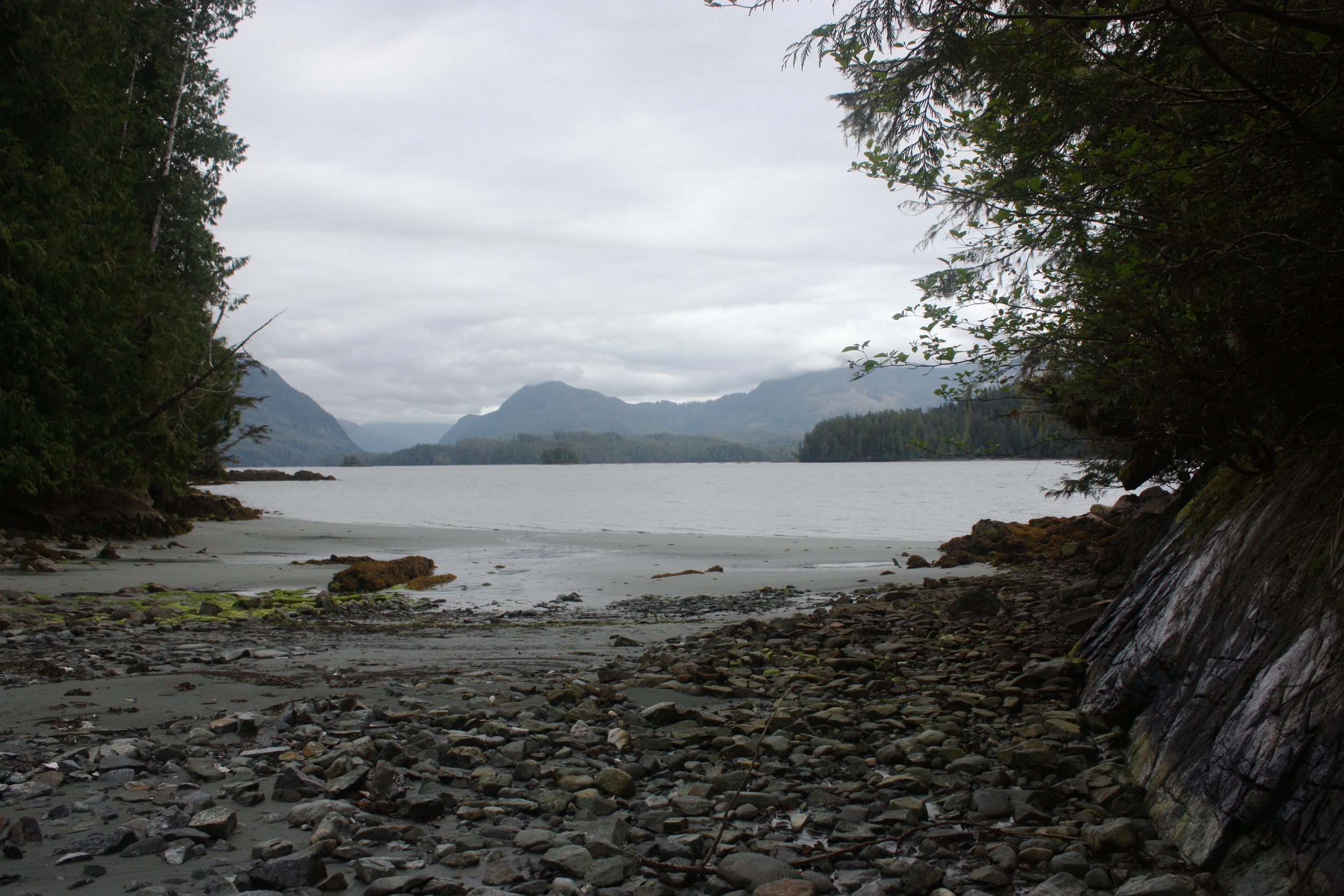 IMG_7575.jpg