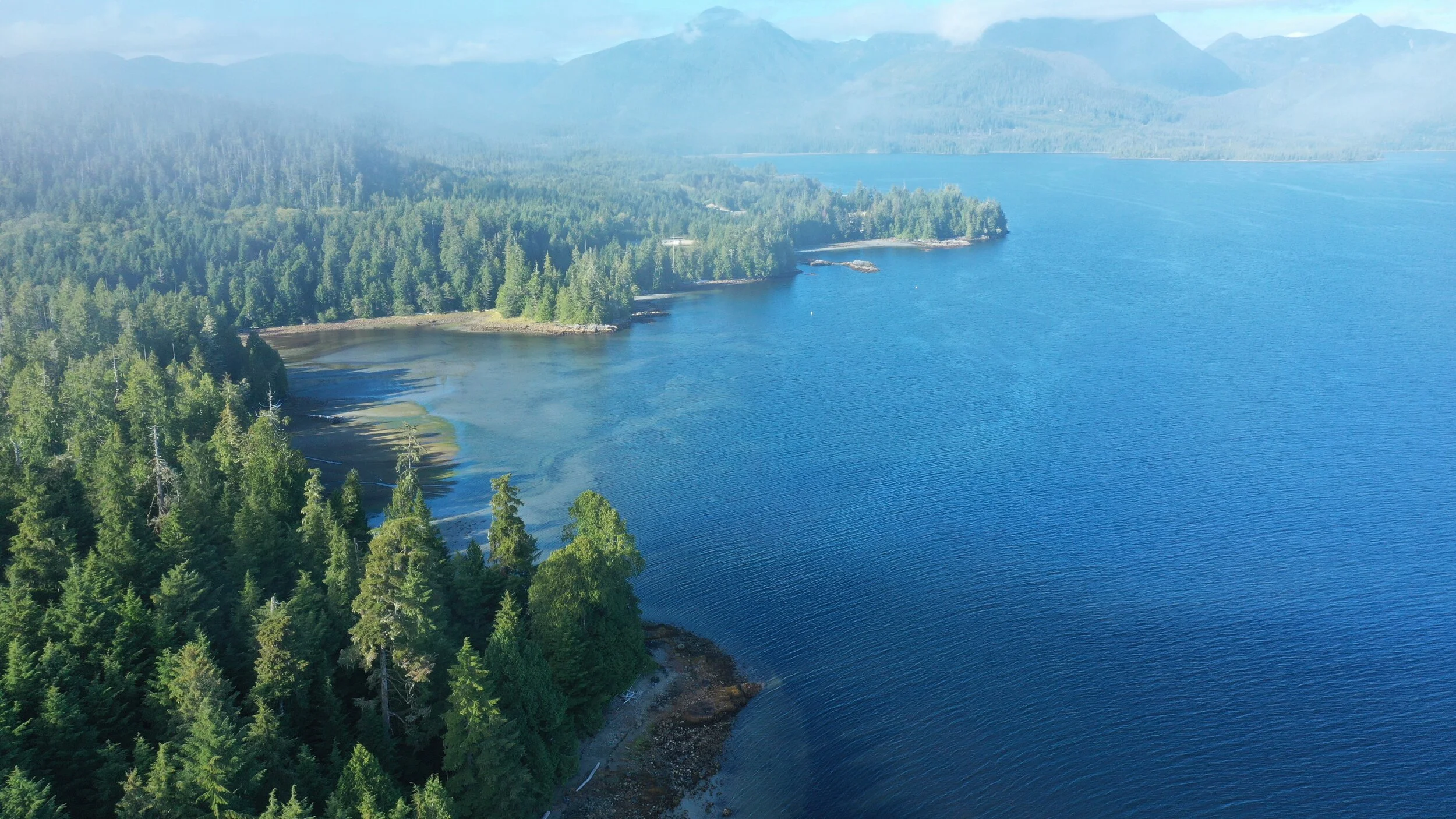 DJI_0110.JPG