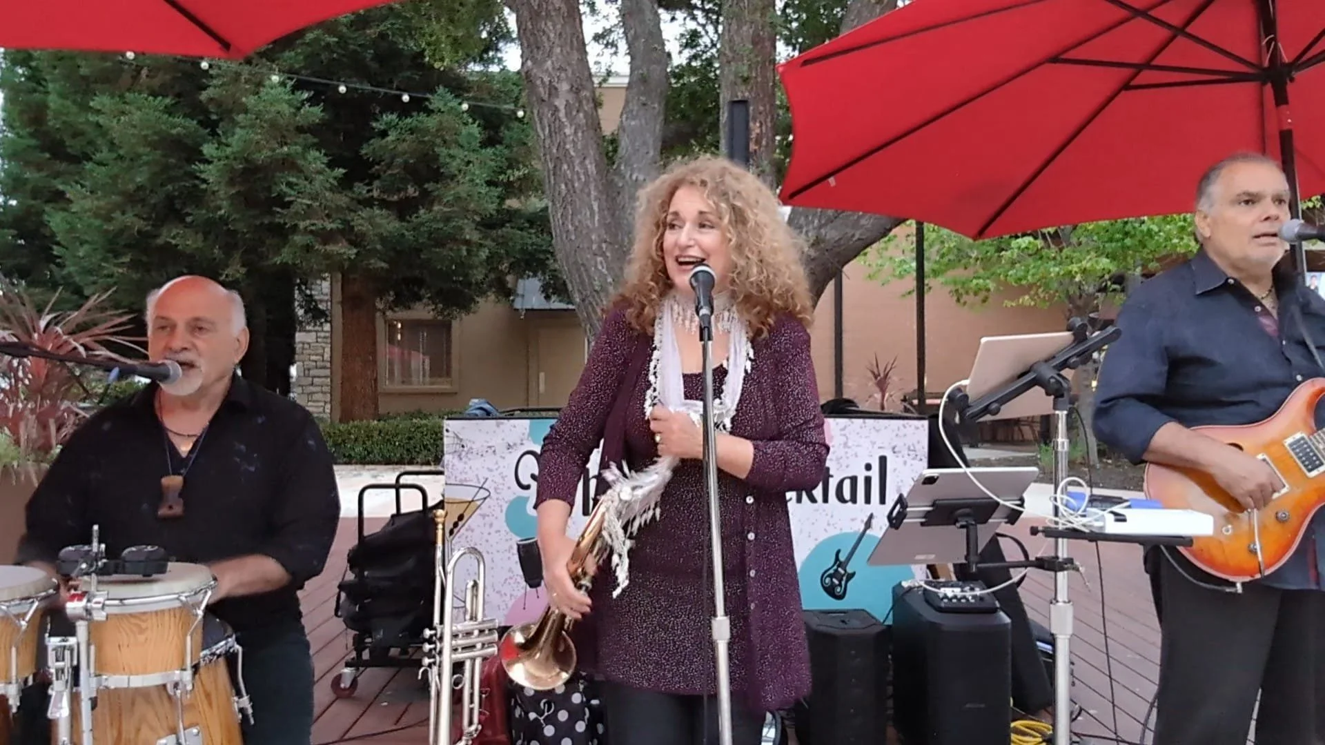 Hipster Cocktail Party the Trio at the Benicia Yacht Club - private party 6-9pm