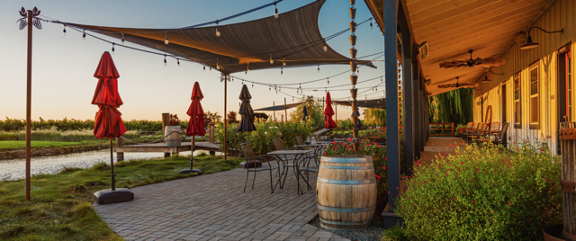 Deb and Paul - The Dynamic Duo at Serendipity Cellars in Brentwood 4-7pm