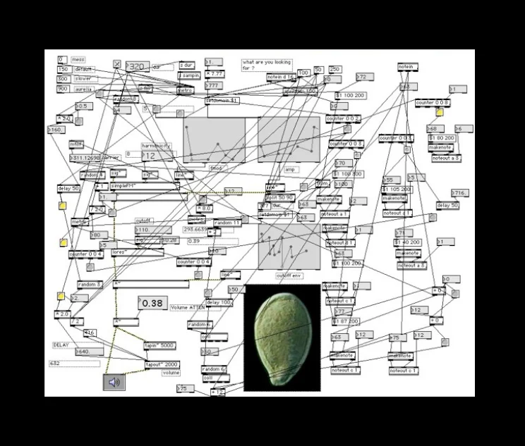 seed( ) plant software: production view, 2001