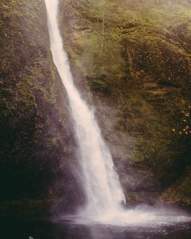 As we start our drive back to Nashville, all feeling pretty worn out and even admittedly slightly cranky, I'm looking through pictures and reflecting on the last three months. What an epic adventure. Was thinking about beautiful Oregon so I just posted some photos and words of our time in there on our blog 👉🏼 pilgrim.life/blog ✨ Check it out ✨ #PilgrimLife #Airstream #EndlessCaravan