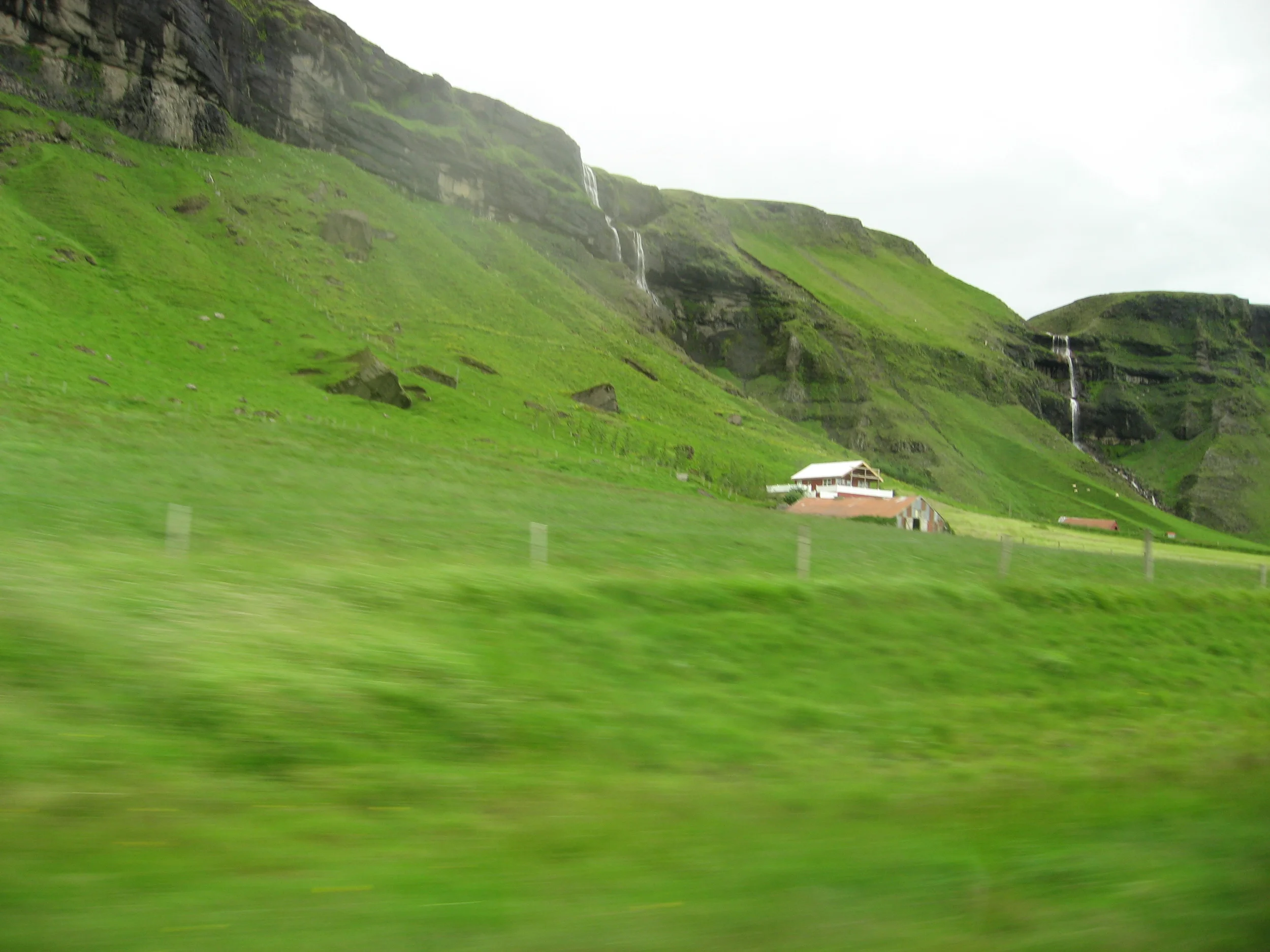 IMG_3579.jpg