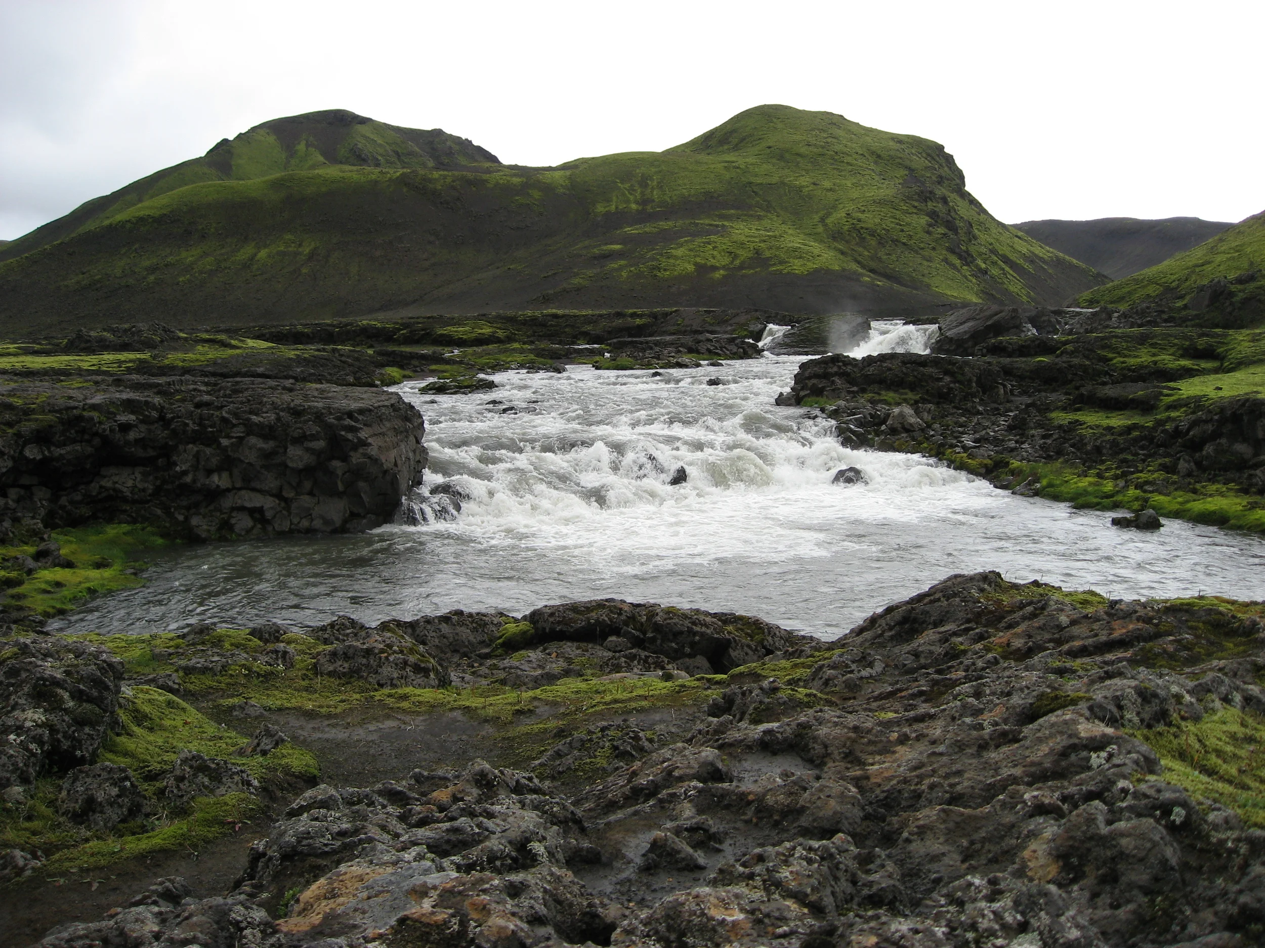 IMG_3625.jpg