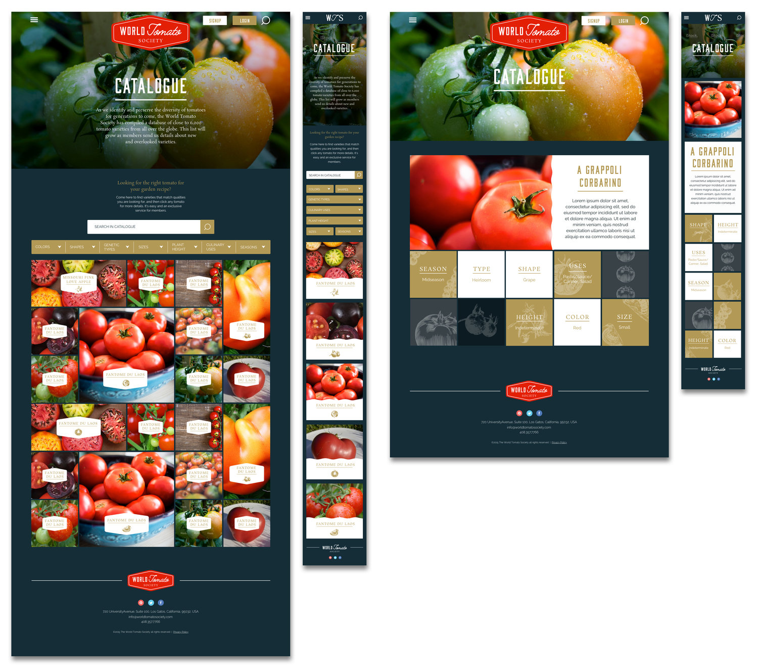 Artboard+19+Copy+2.jpeg