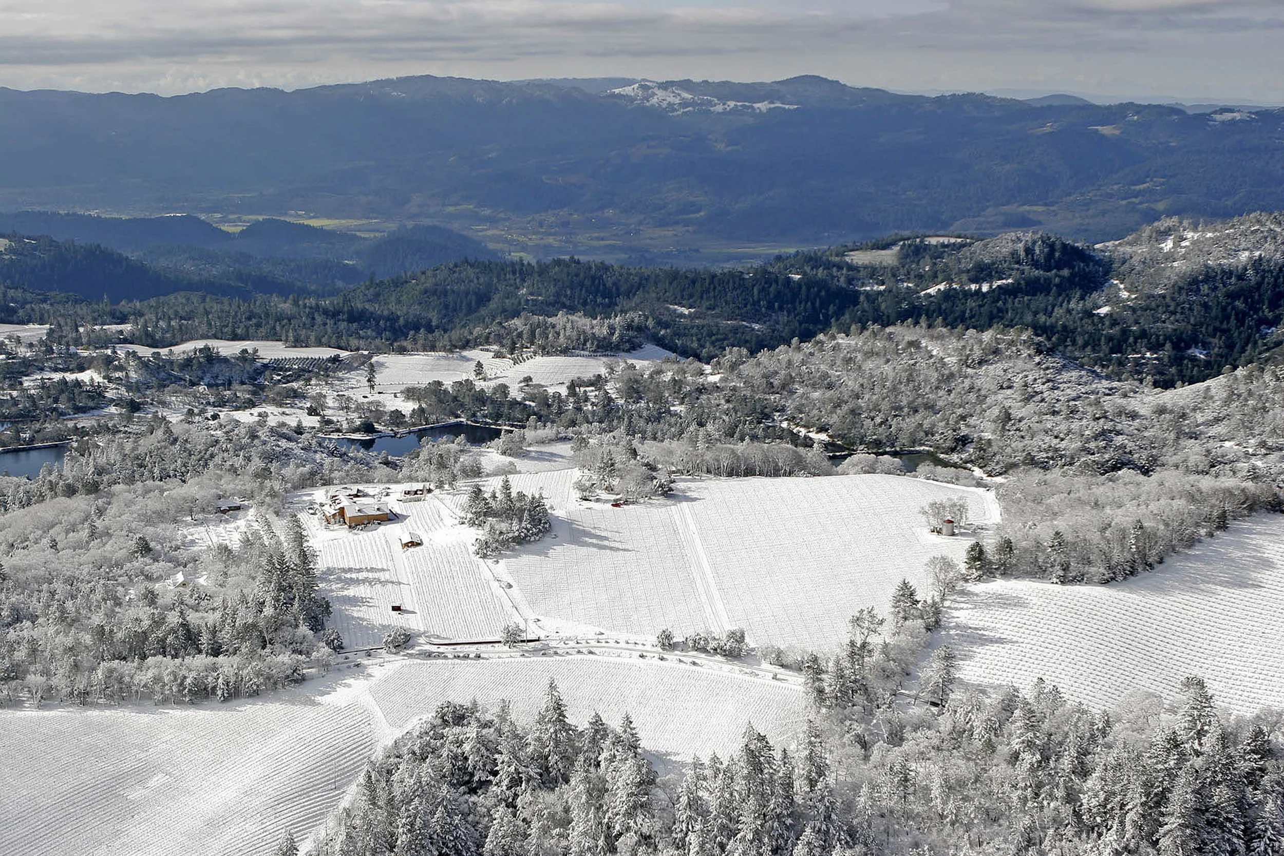 Aerial image of snow on our Howell Mountain vineyards.