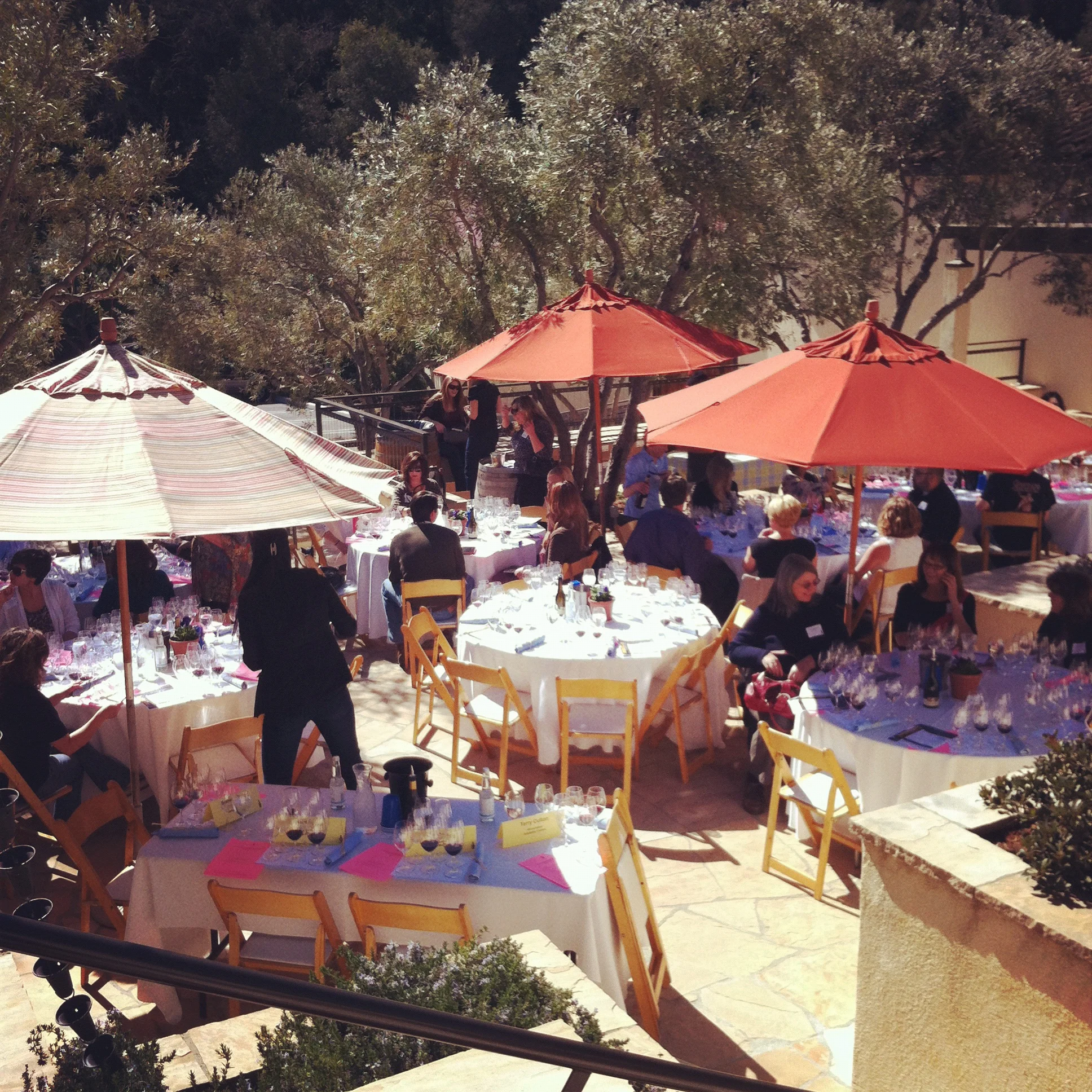 Paso Robles Pick Up Party