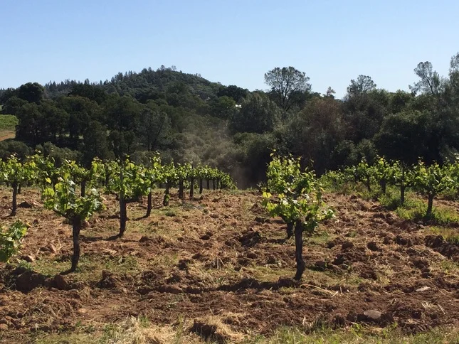 Amador Spring Pick Up Party