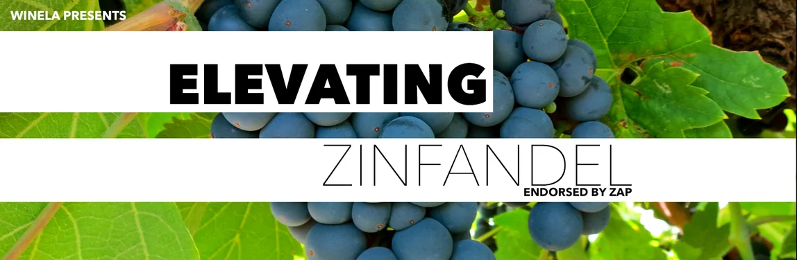 Elevating Zinfandel