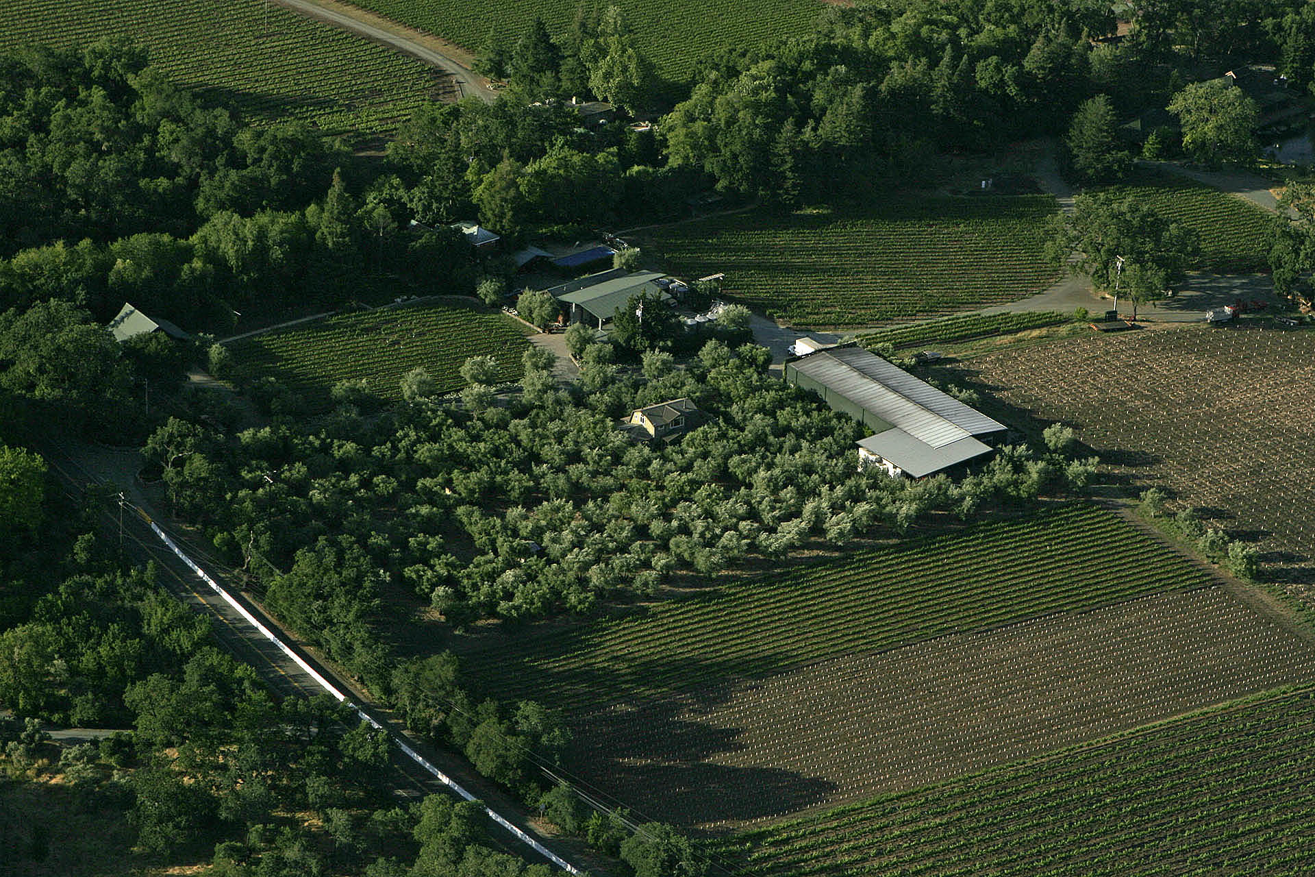 Turley Estate Vineyards, Napa Valley.jpg