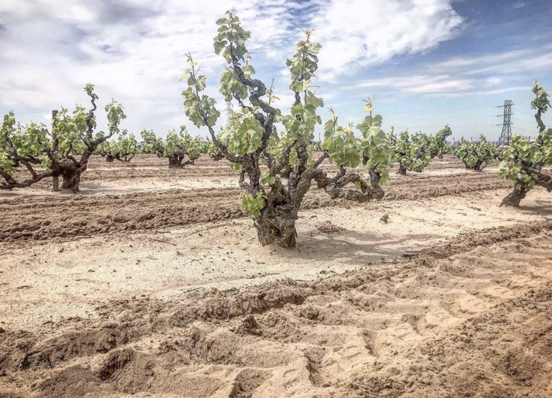 Screen Shot 2020-06-26 at 4.47.21 PM.png