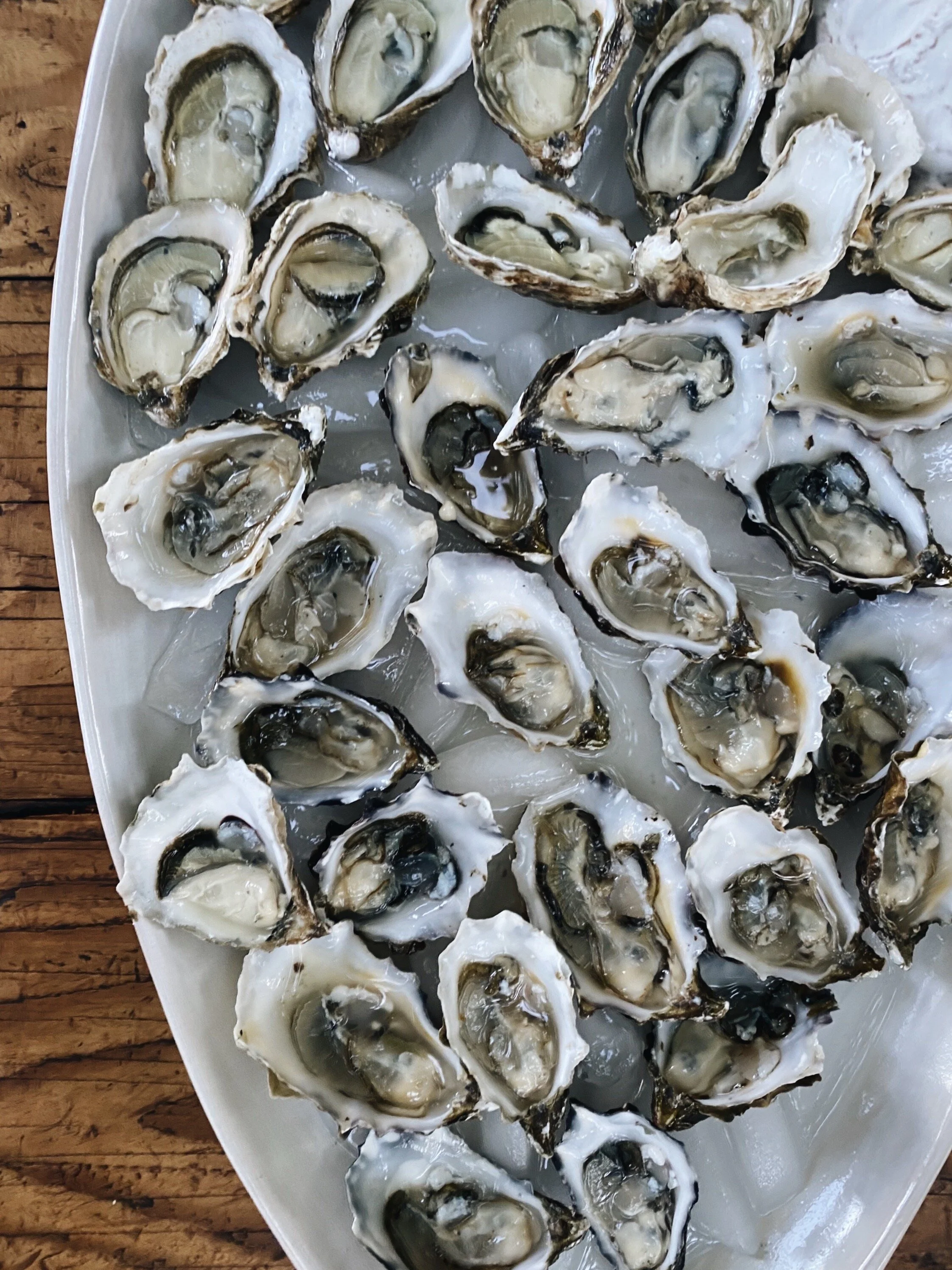 White Coat Wonderland