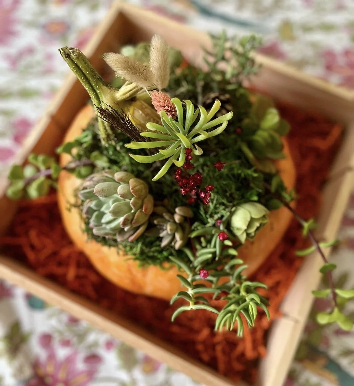 Sip &amp; Craft: Succulent Centerpieces