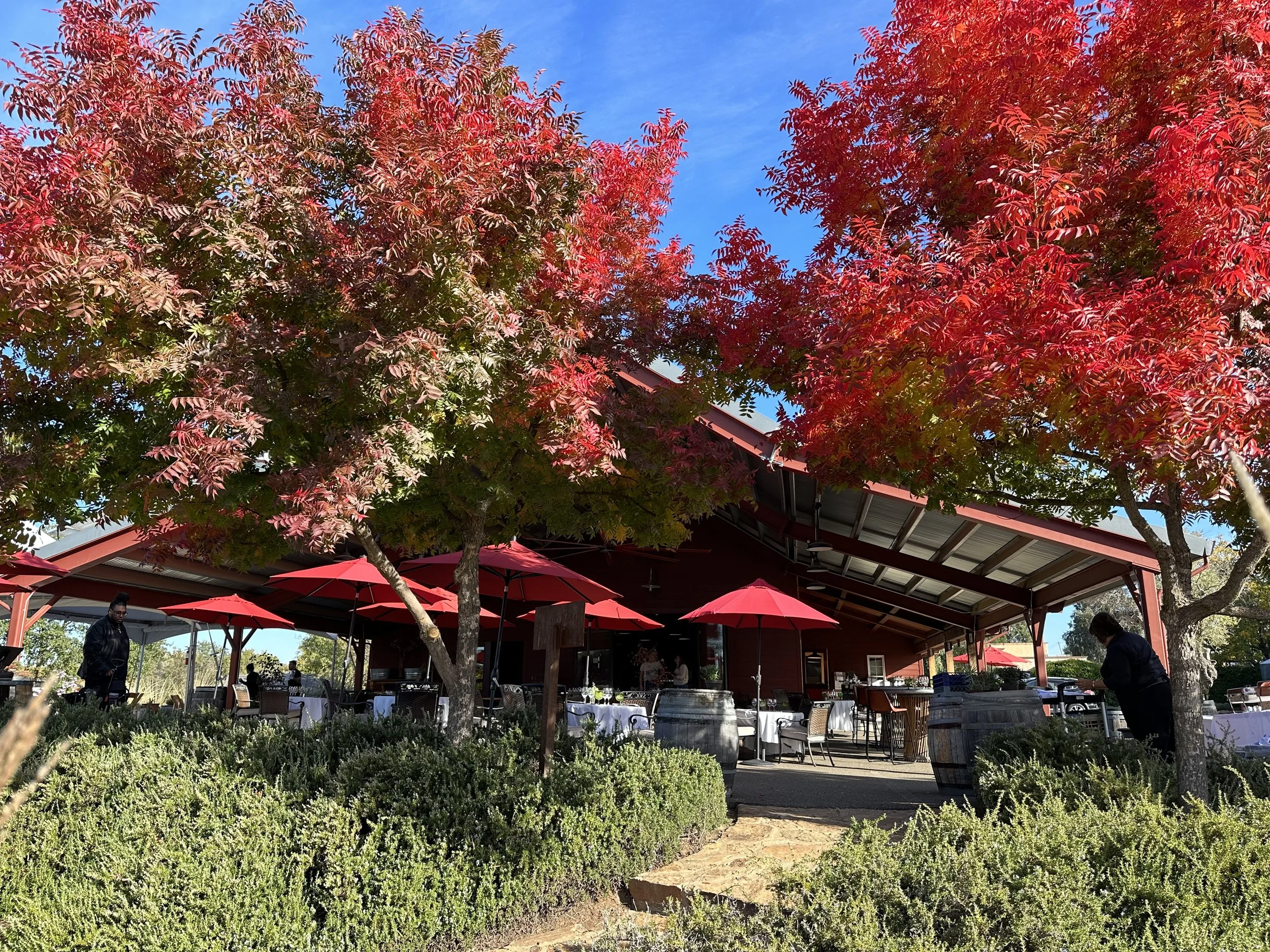 November Saturdays: Live Music &amp; Food Vendors!