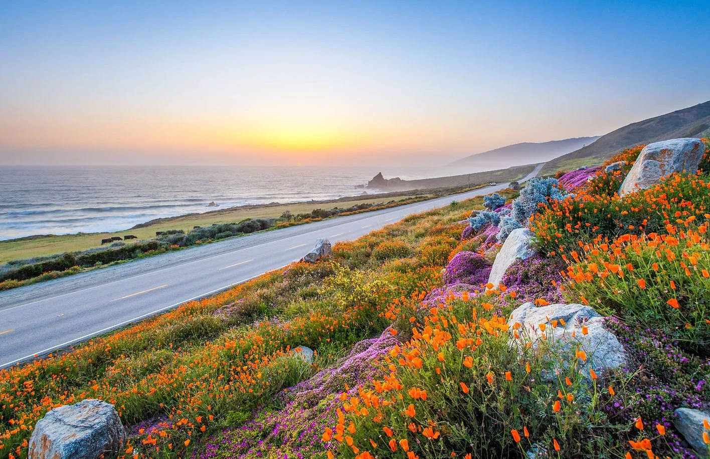 Cambria Art &amp; Wine Festival // Cambria, CA