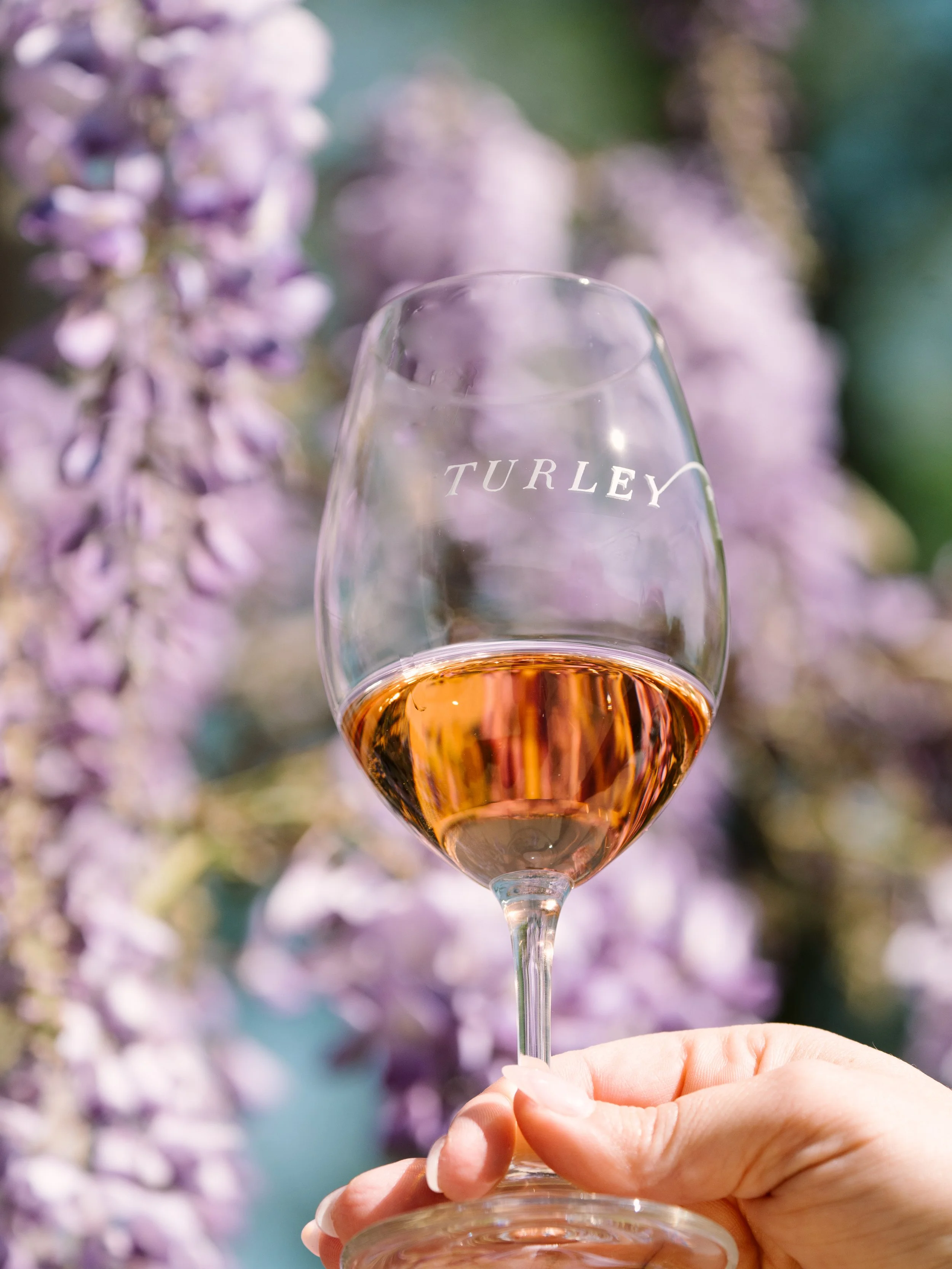 Summer Release Happy Hour at Canon // Sacramento, CA 